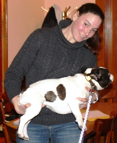 Hund hochheben