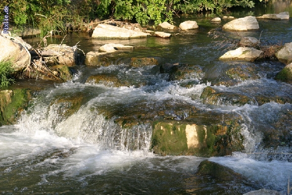 http://www.hundelobby-mg.de/pixlie/cache/vs_Natur_Pixlie_001.JPG