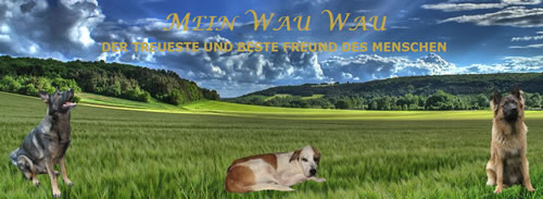 wauwau